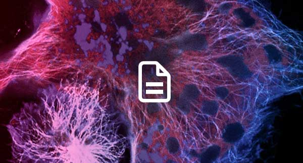 Energy Metabolism Webinar