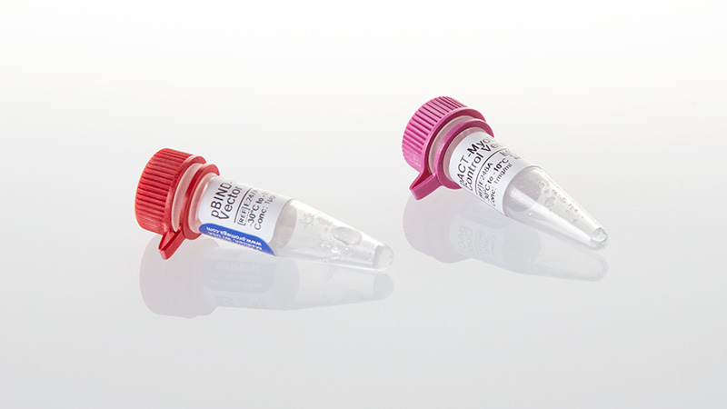 C9370_CheckMate--Positive-Control-Vectors_3