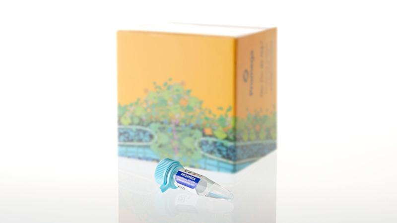 DD2011_K562-DNA-High-Molecular-Weight---30ug_3