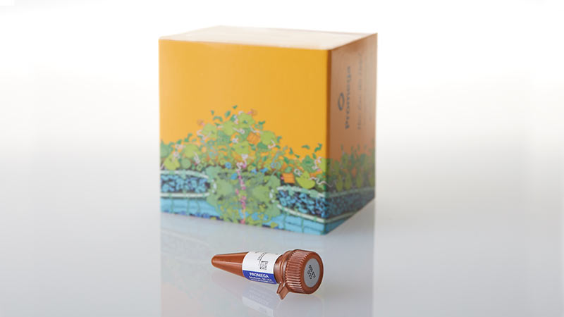 CCO Internal Lane Standard 500