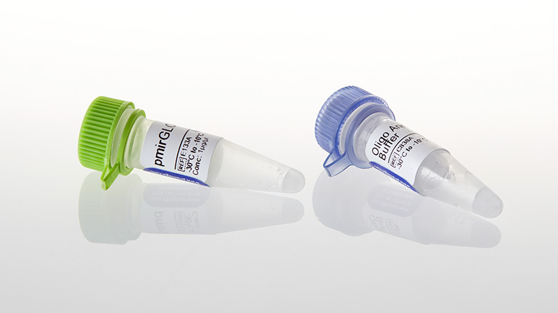 E1330_pmirGLO-Dual-Luciferase-miRNA-Target-Exp_3