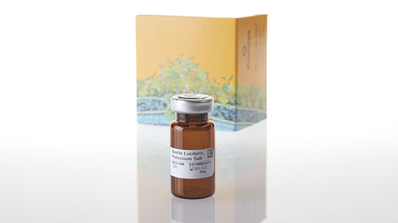 E1601_beetle-luciferin_3