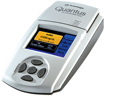 quantus