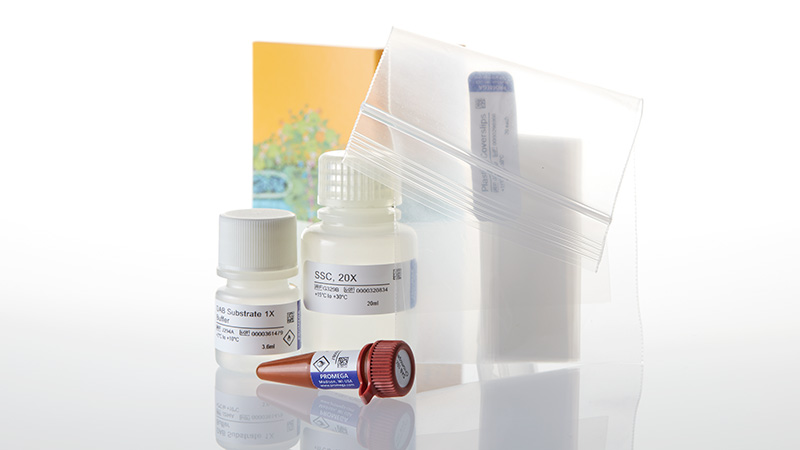 G7362_DeadEnd--Colorimetric-TUNEL-System_3