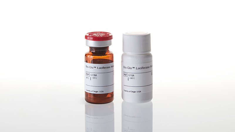G7941_Bio-Glo--Luciferase-Assay-System_3