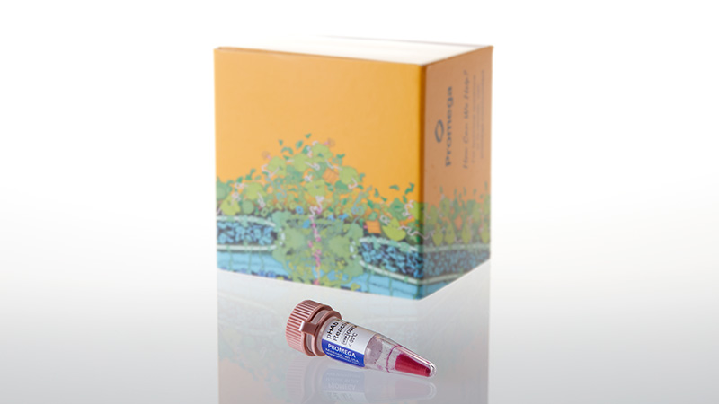 G9831_pHAb Thiol Reactive Dye-250ul_3