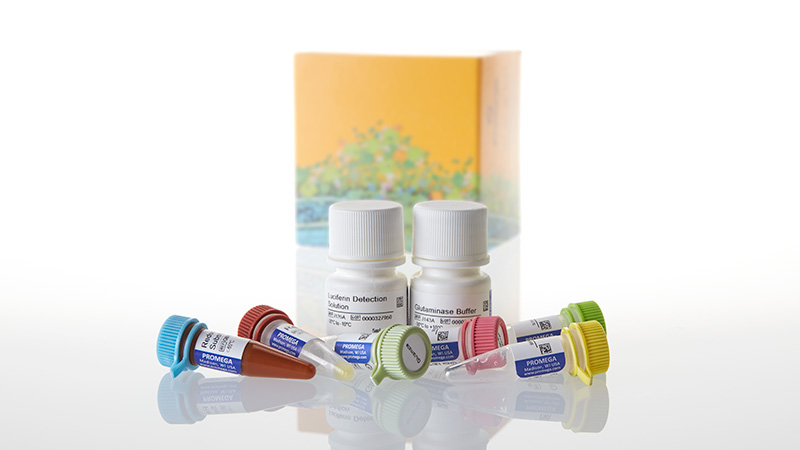 J8021_Glutamine-Glutamate-Glo Assay-5ml_3