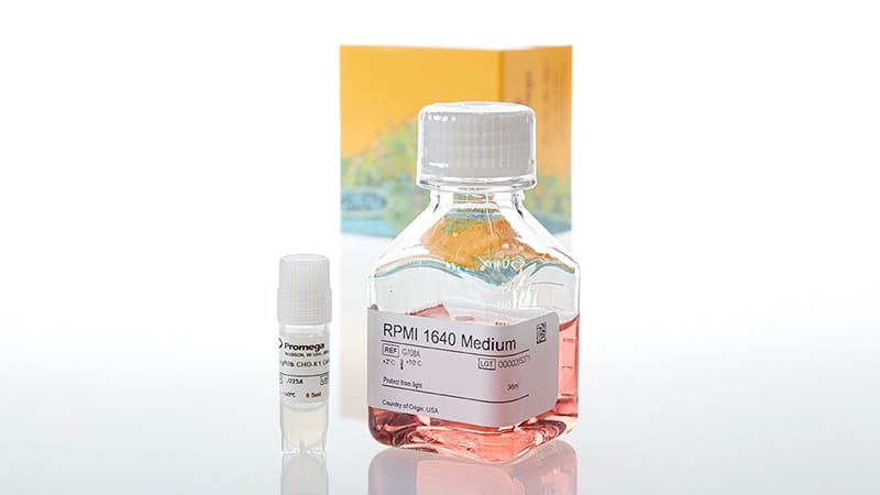 JA2251_FcgRIIb-CHO-K1-Cells_3