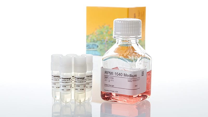 JA2255_-FcgRIIb-CHO-K1-Cells5X_3