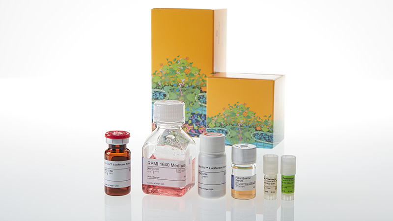 JA6101_CD28-Blockade-Bioassay_3