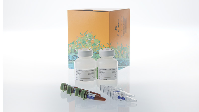 jb1202-bio-glo-nb-vlp-luciferase-assay-system-3