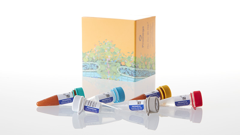 MA1010_ISOQUANT--Isoaspartate-Detection-Kit_3