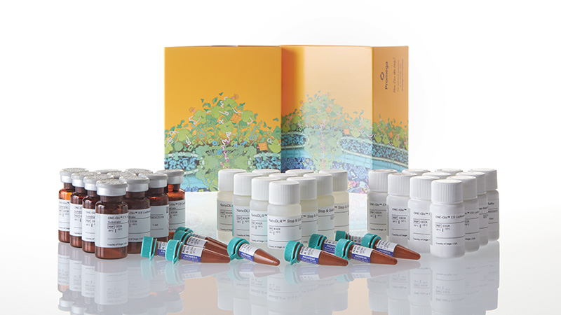 N1630_Nano-Glo--Dual-Luciferase--Reporter-Assa_3