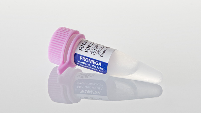 N2615_RNasin--Plus-RNase-Inhibitor--10-000u_3