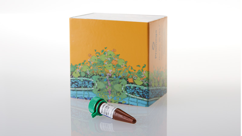 NanoBRET™ 590 PEG(O4) SE, 5mg