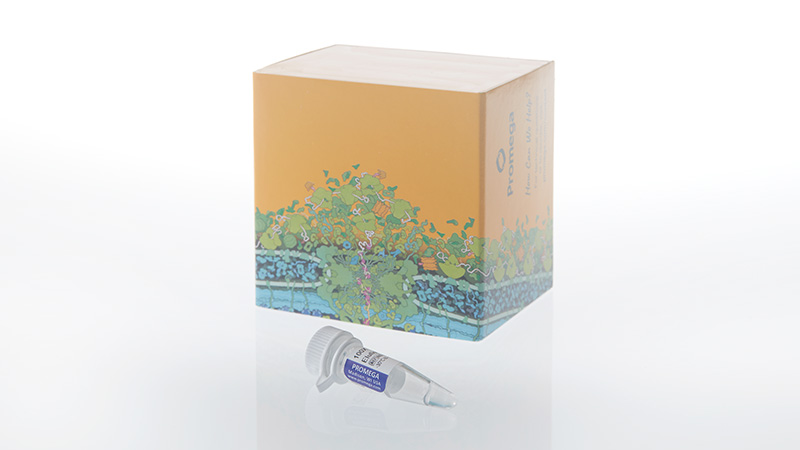 n7400-100x-drkbit-elution-peptide-3