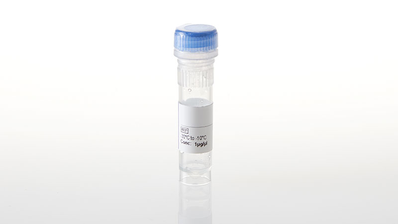 NV3271_INSR-NanoLuc- Fusion Vector- 20ug