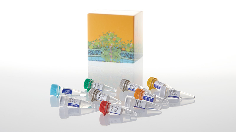 P1280_RiboMAX--Large-Scale-RNA-Production-Sys_3