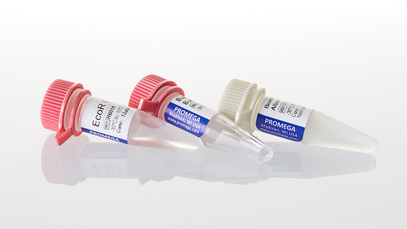 R6011_EcoRI--5-000u_3