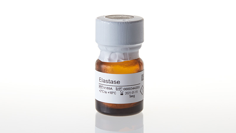 V1891_Elastase_3