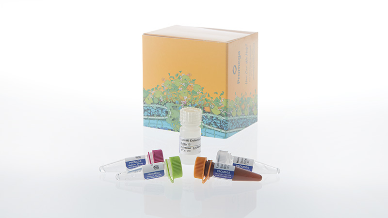 w1460lumitil8cxcl8humanimmunoassay3