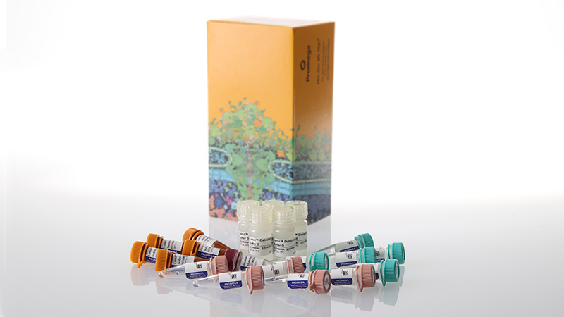 w6062-lumit-il-4-human-immunoassay-500-assays