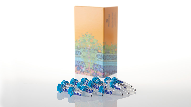 Z5481_Streptavidin-MagneSphere--Paramagnetic_3