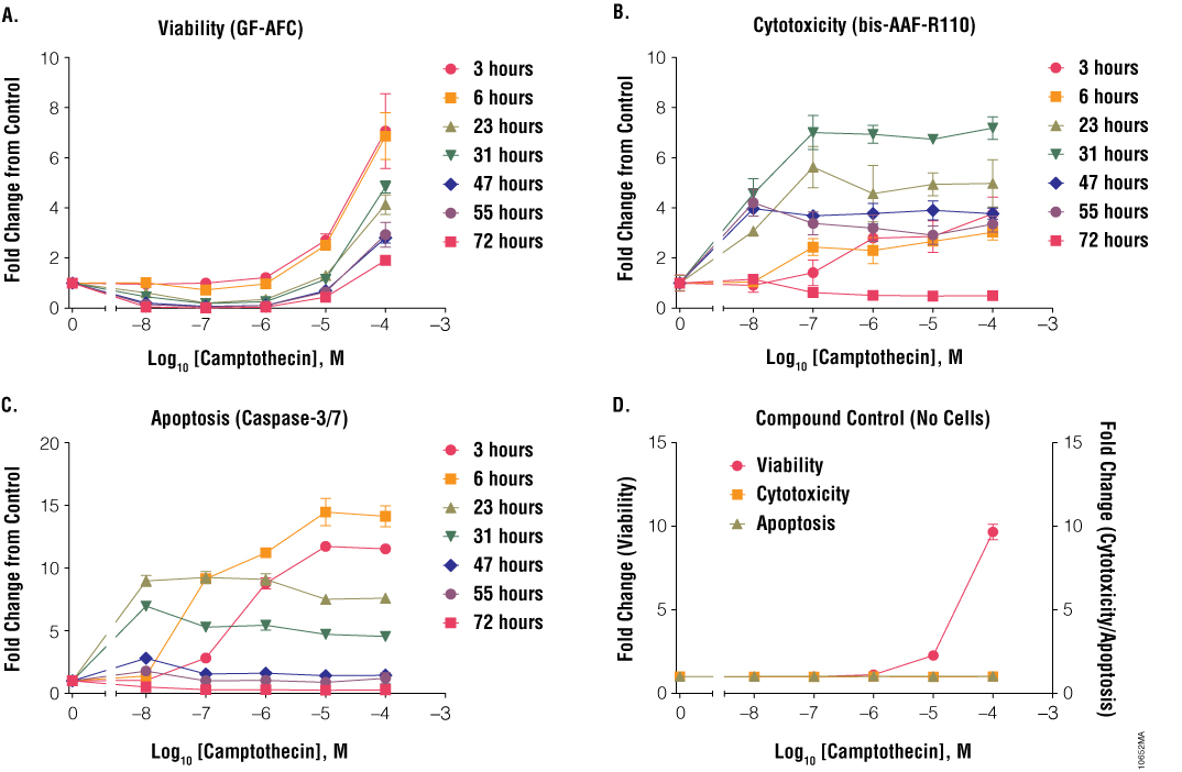 Treatment of Jurkat cells with camptothecin.