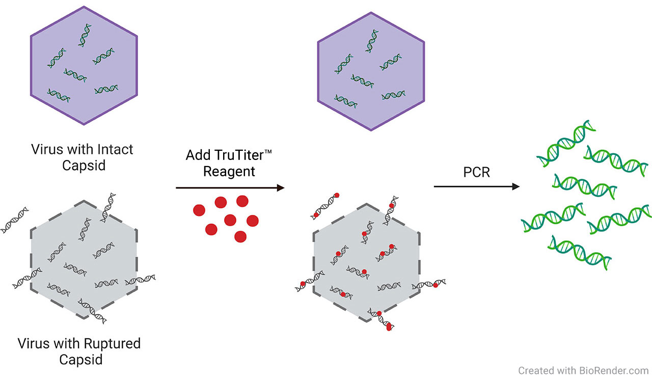 Illustration showing the TruTiter® technology principle.