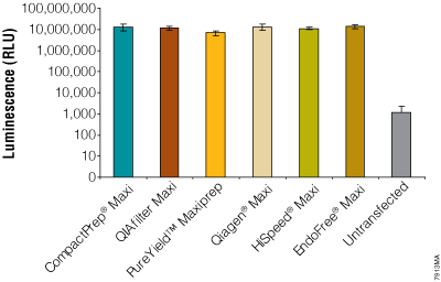 Average firefly luciferase activity in cells transfected with maxiprep plasmid DNA