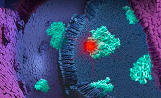 HaloTag Technology Resource on Microscopy and Imaging